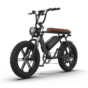 Aostirmotor Storm 750W 48V Fat Tire Electric Bike