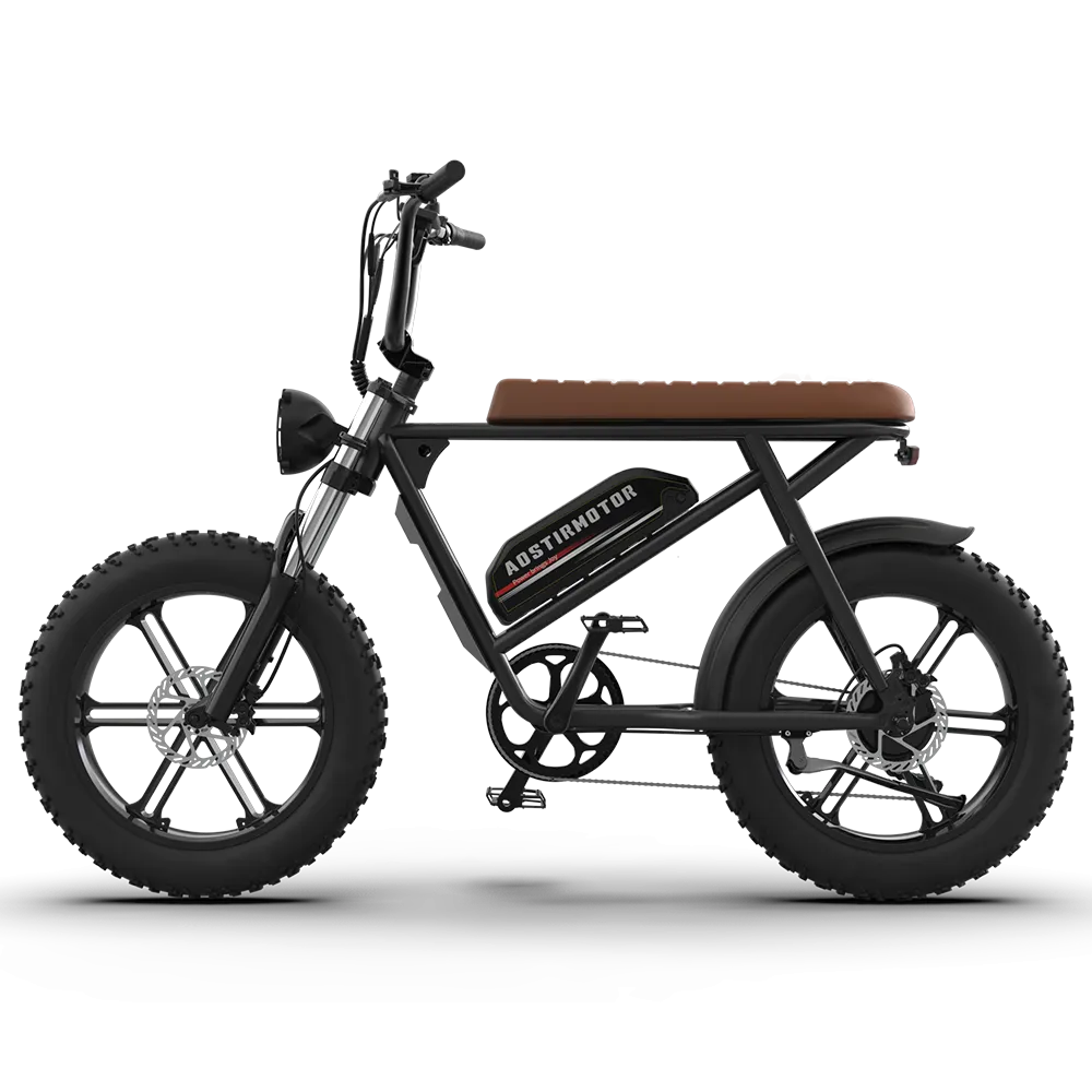 Aostirmotor Storm 750W 48V Fat Tire Electric Bike