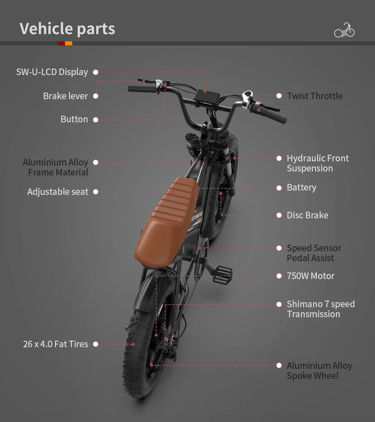 Aostirmotor Storm 750W 48V Fat Tire Electric Bike