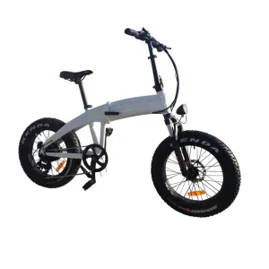 Coastal Cruiser| 750W Folding Step Thru 20x4 All Terrain Electric Bike