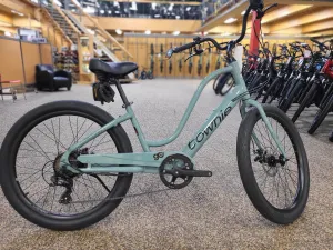 Electra Townie Go! 7D Step-Thru Electric DEMO Bike 2024