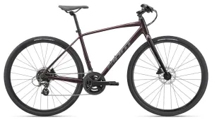 Giant Escape 2 Disc Bicycle - 2024