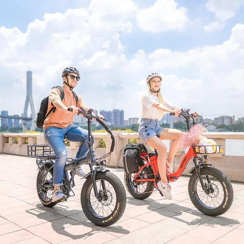 Rattan LM 750 PRO Folding 750W 48V Fat Tire Electric Bike