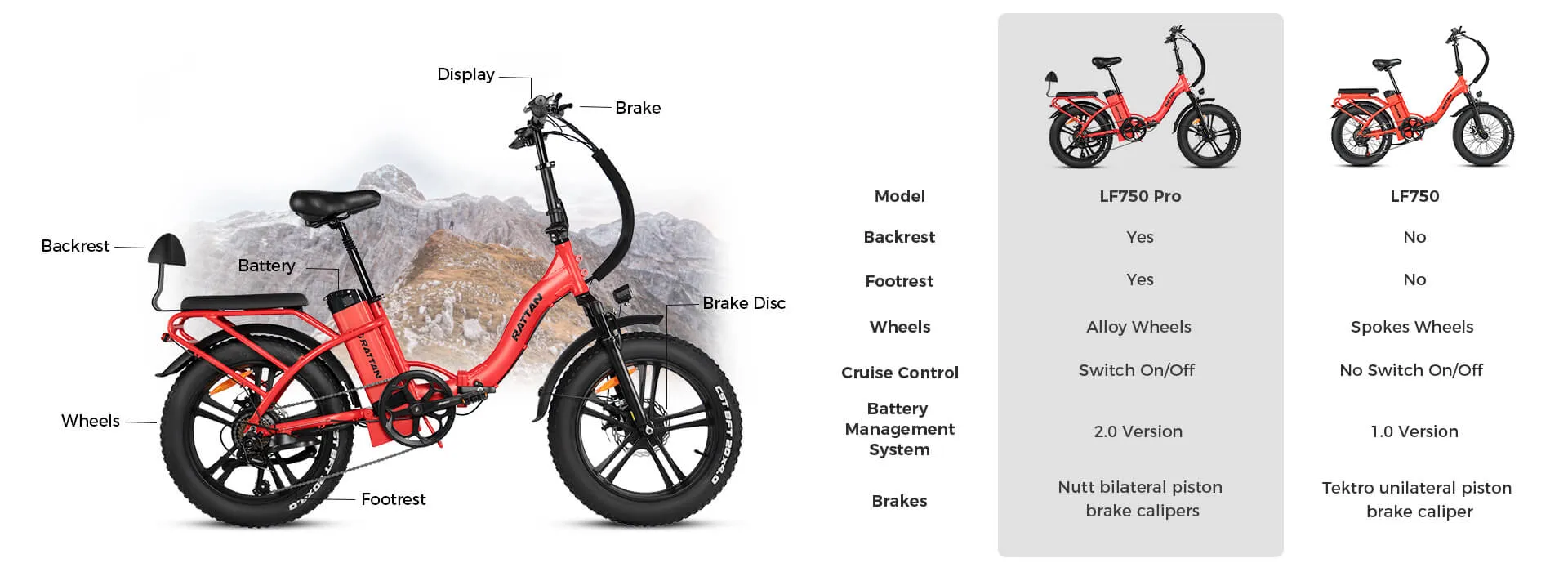 Rattan LM 750 PRO Folding 750W 48V Fat Tire Electric Bike