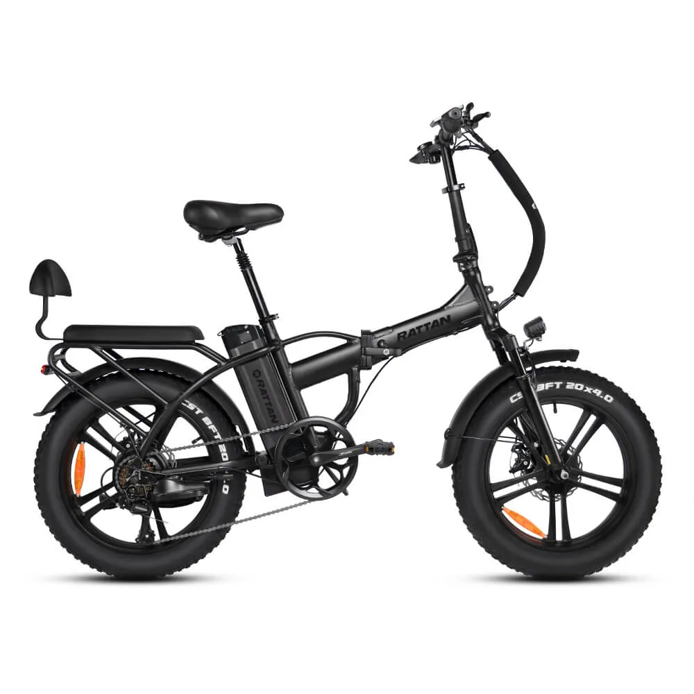 Rattan LM 750 PRO Folding 750W 48V Fat Tire Electric Bike