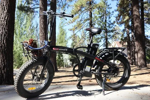 Revi Rebel 500W Folding Electric Bike